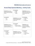 1.3.1.A.SR Human Body Systems Matching Pieces