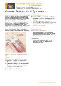 Common Peroneal Nerve Syndrome