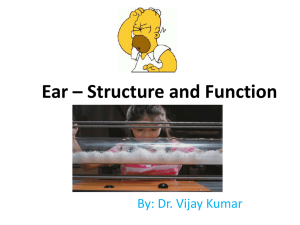Ear – Structure and Function