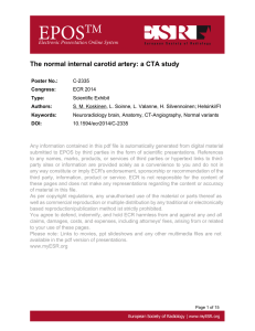 The normal internal carotid artery: a CTA study
