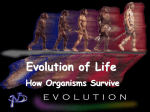 Evolution