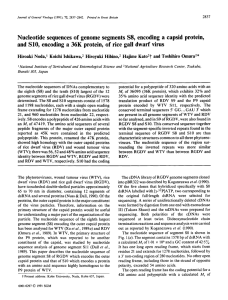 Nucleotide sequences of genome segments $8, encoding a capsid