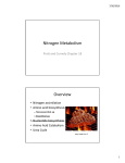 Nitrogen Metabolism Overview