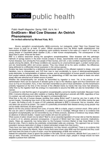 Public Health Magazine: Spring 1996, Vol.4, No.1 EndGram-