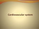 Cardiovascular system