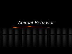 Animal Behavior