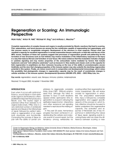 Regeneration or scarring: An immunologic perspective