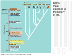 benefits of dna barcoding