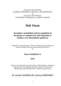 PhD Thesis Secondary metabolism and its regulation in