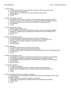 Test questions used for assessment