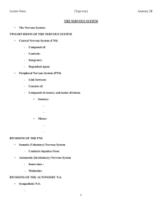 Lecture Notes [Type text] Anatomy 2B 1 THE NERVOUS SYSTEM