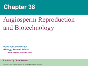Chapter 38 Plant Reproduction