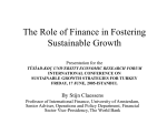 The Role of Finance in Fostering Sustainable Growth