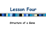 Supercourse - Scientific Basis for Genetics Part II