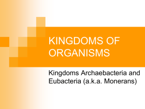 KINGDOMS OF ORGANISMS