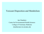 Toxicant Disposition and Metabolism