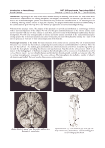 1 Introduction to Neurobiology Rudolf Cardinal NST 1B