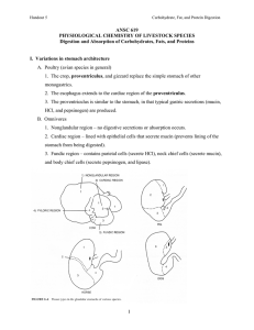 Handout 5 - Digestion of CHO, Fats, and Proteins