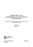 LITERATURE STUDY: SHOREBIRDS AND THEIR ABIOTIC