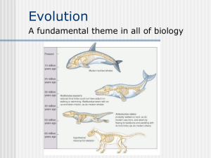 Evolution