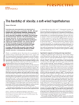 A soft-wired hypothalamus