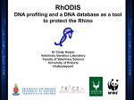RhODIS - Rhino Resource Center