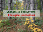 Ecological Succession PP