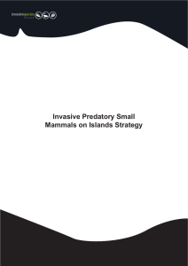 Invasive Predatory Small Mammals on Islands Strategy