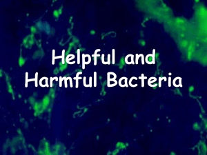 Helpful and Harmful Bacteria