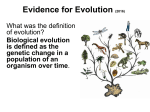 Evidence for Evolution - rosedale11universitybiology