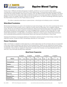 Equine Blood Typing - UC Davis School of Veterinary Medicine