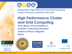 Introduction to High Performance and Grid Computing