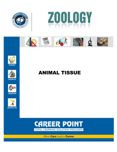 animal tissue - Career Point