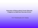 Integration of Photosynthetic Protein Molecular Complexes in Solid