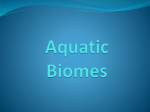 Aquatic Biomes Power Point