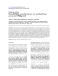 MicroRNA-221 promotes human non-small cell lung cancer cell