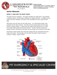 Aortic Stenosis Client Handout PESC