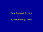 Our Animal Exhibit