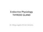 Endocrine Physiology THYROID GLAND