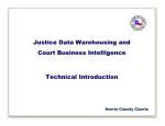 Justice Data Warehousing and Court Business Intelligence