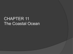 Chapter 11: The coastal ocean