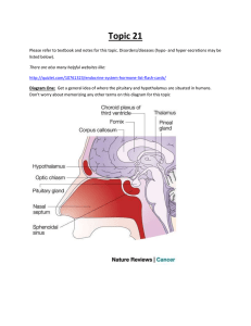 Hormones from Endocrine Glands