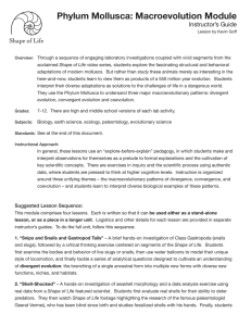 Phylum Mollusca: Macroevolution Module