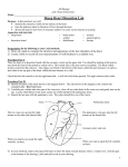 Procedures for Heart Dissection