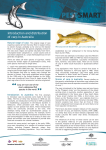 PestSmart Factsheet: Introduction and distribution of carp in Australia