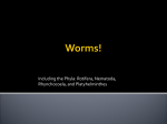 Worms!
