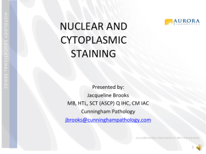 NUCLEAR AND CYTOPLASMIC STAINING