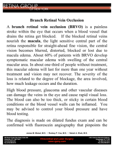 Branch Retinal Vein Occlusion A branch retinal vein occlusion (BRVO)