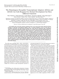 The Homologous Drosophila Transcriptional Adaptors ADA2a and