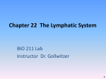 Chapter 22: Lymphatic System